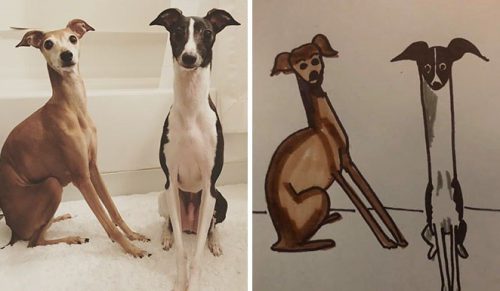 Stowarzyszenie Wisconsin Humane Society zrobi oryginalny rysunek twojego zwierzaka za 15 USD, dzięki temu wspomożesz leczenie zwierząt na świecie!