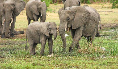 Ludzie żałują, że dali się skusić na tych 27 atrakcji z powodu FOMO