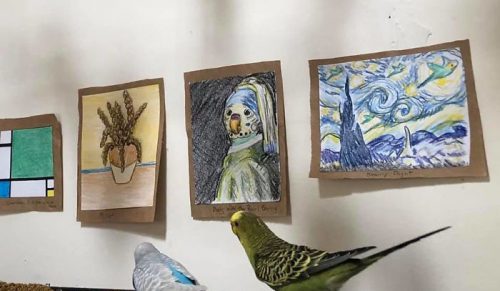 Kobieta stworzyła miniaturową galerię sztuki dla swoich 7 papużek!