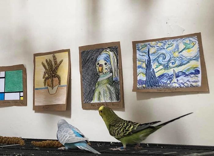 Kobieta stworzyła miniaturową galerię sztuki dla swoich 7 papużek!
