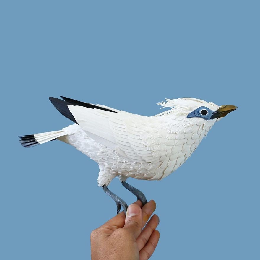 Artystka tworzy różne gatunki ptaków z papieru!