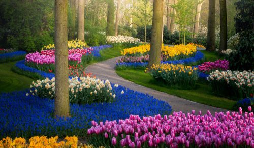 Oto najpiękniejszy ogród kwiatowy na świecie!