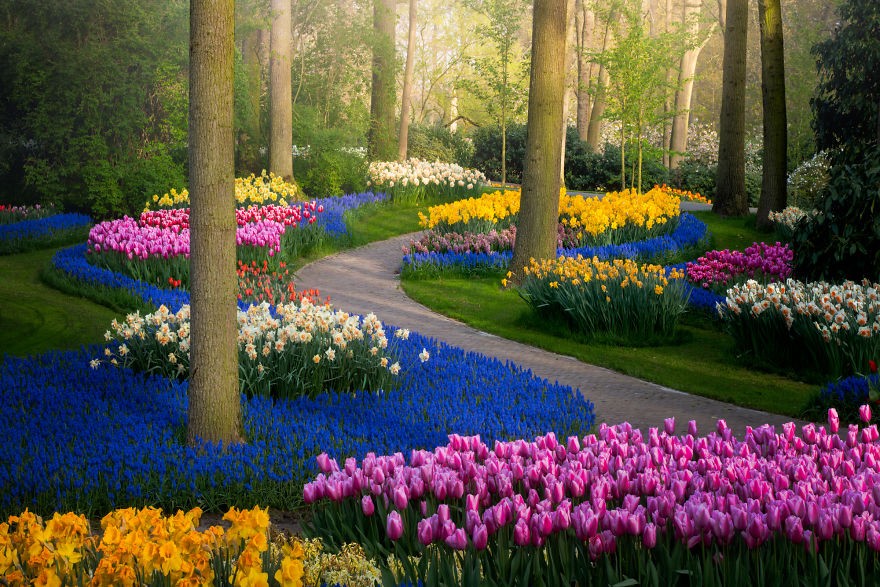 Oto najpiękniejszy ogród kwiatowy na świecie!