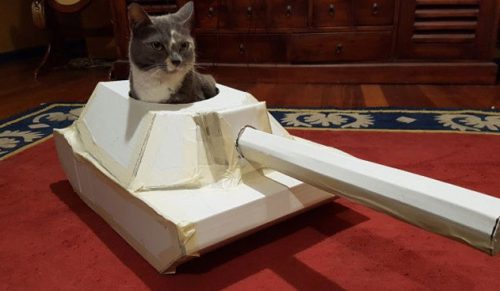 Ludzie budują kartonowe czołgi dla swoich kotów!
