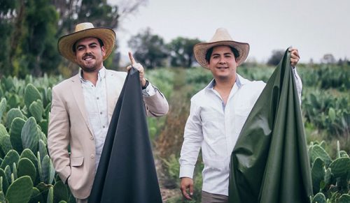 Ci mężczyźni znaleźli sposób na zrobienie skóry z liści kaktusa, aby pomóc uratować środowisko!