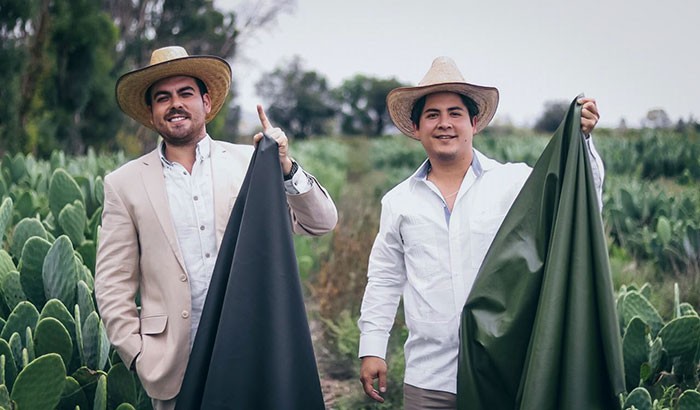 Ci mężczyźni znaleźli sposób na zrobienie skóry z liści kaktusa, aby pomóc uratować środowisko!