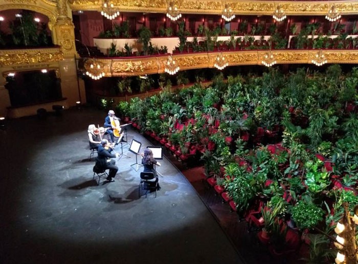 W tej operze zagrano koncert dla 2292 roślin!