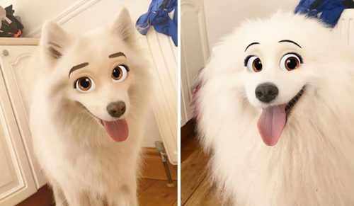 Ten nowy filtr Snapchata sprawi, że Twój pies będzie wyglądać jak postać z bajki Disneya!