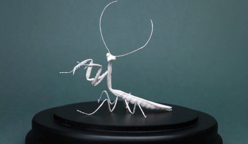 Artystka tworzy realistycznie wyglądające zwierzęta i rośliny z papieru!