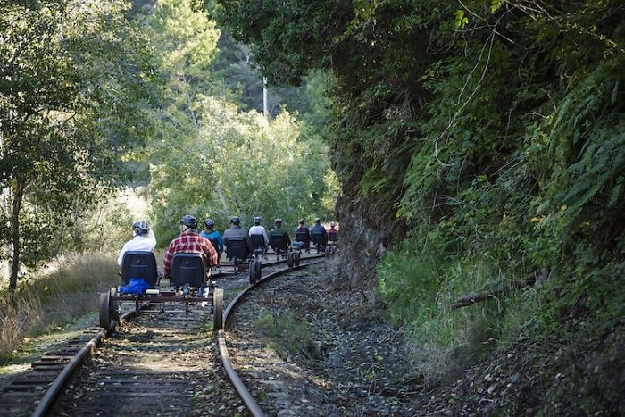 Możesz zwiedzić kalifornijski las sekwoi jeżdżąc na rowerze szynowym po historycznej trasie!
