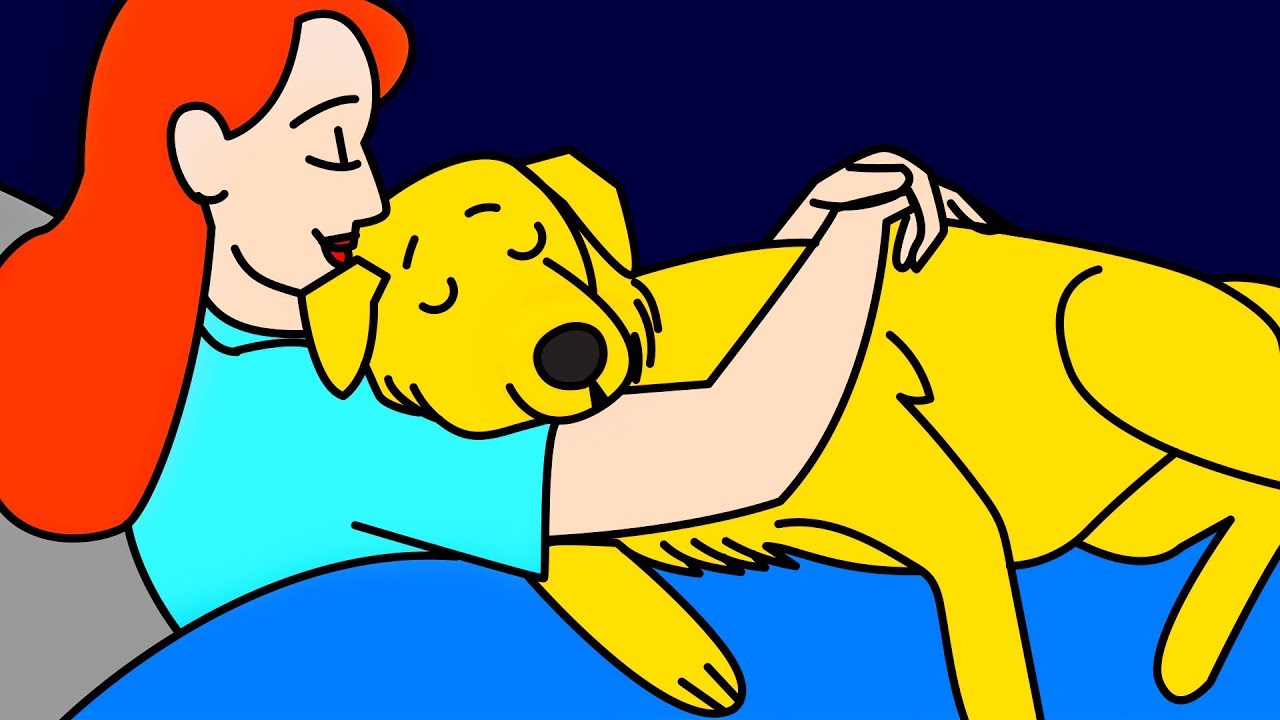 11 oznak, po których zrozumiesz, że pies darzy Cię miłością!