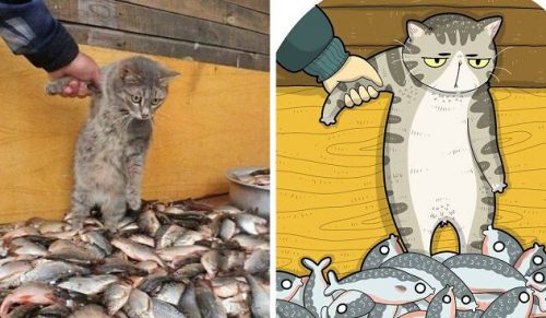 30 najzabawniejszych zdjęć kotów zostało zilustrowanych przez Tactooncat!
