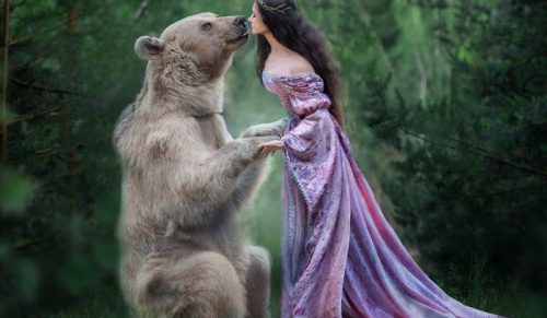 Rosyjski niedźwiedź brunatny, który został porzucony jako młode i wychowany przez ludzi, rozpoczął karierę modela!
