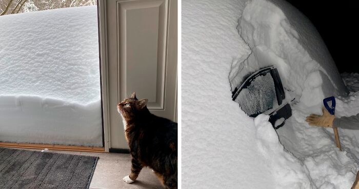 Rekordowe opady śniegu zasypały Binghamton, a oto, co ludzie zobaczyli po obudzeniu!