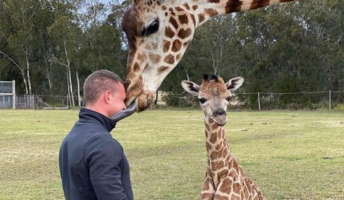 Australijski pracownik zoo dzieli się kulisami prowadzenia parku dzikiej przyrody!