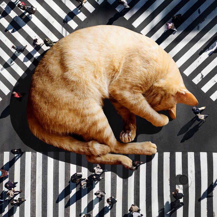 Ten artysta używa Photoshopa do tworzenia surrealistycznych gigantycznych krajobrazów kotów!