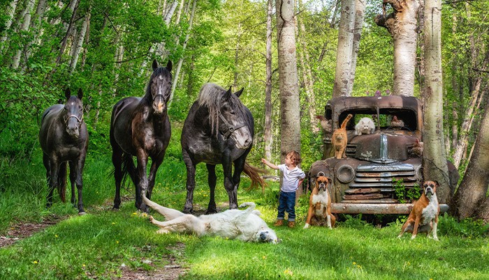 Fotografka stworzyła projekt „Farmily”, w którym fotografuje rodziny i wszystkie ich zwierzęta!