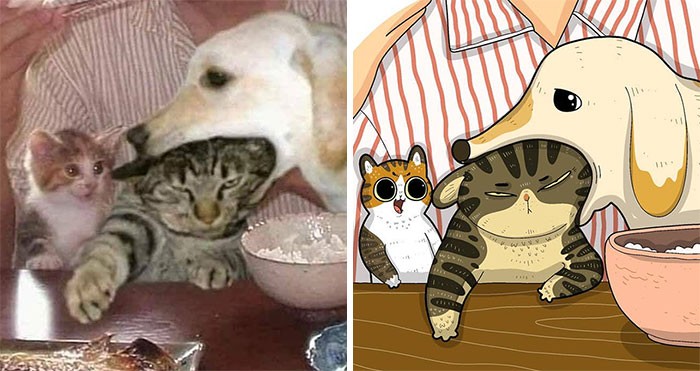 31 najzabawniejszych, znanych w Internecie kotów zostało zilustrowanych przez Tactooncat!