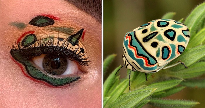 Artystka pokazuje piękno owadów poprzez 30 kompozycji makijażu oczu!