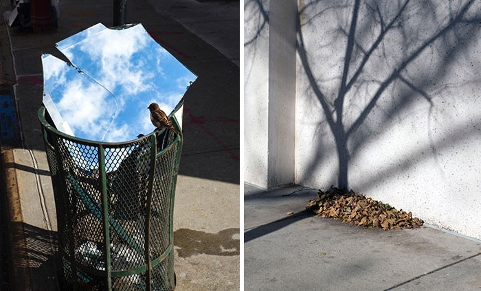 30 zdjęć przedstawiających ciekawe zbiegi okoliczności na ulicach Nowego Jorku!