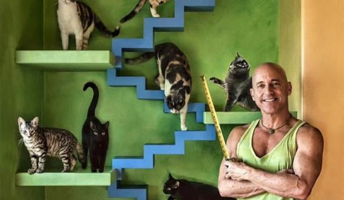 Ten mężczyzna zaprojektował idealny dom dla swoich 20 kotów!