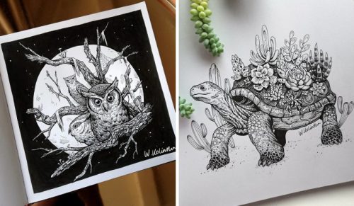 30 skomplikowanych rysunków zwierząt stworzonych przez polską artystkę!