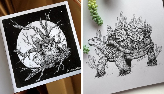 30 skomplikowanych rysunków zwierząt stworzonych przez polską artystkę!