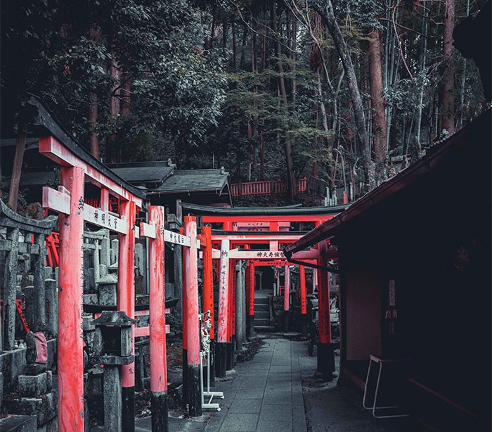 Fotograf spędził weekend w Kioto w Japonii, a oto najlepsze zdjęcia jakie udało mu się zrobić!