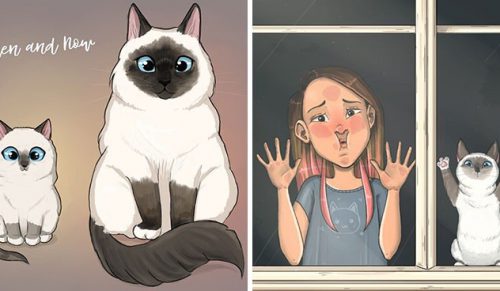 30 ilustracji utalentowanej artystki ukazujące, jak to jest mieć kota!