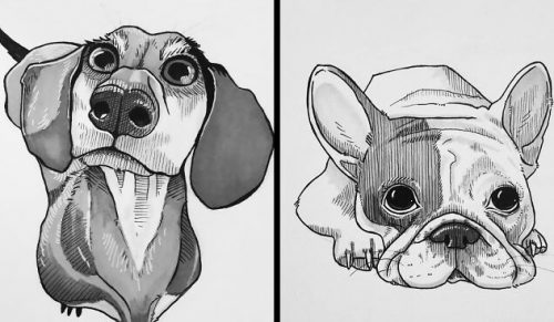 21 rysunków psów, które sprawią, że się uśmiechniesz!