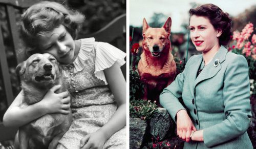 14 vintage zdjęć rodziny królewskiej, które pomagają lepiej ich poznać!