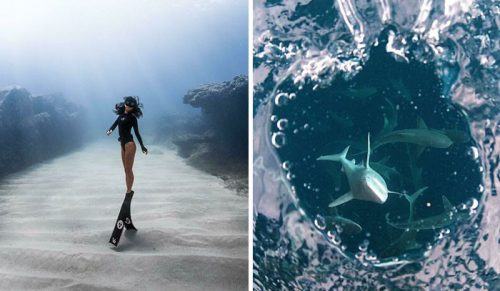 30 niesamowitych zdjęć zrobionych pod wodą!