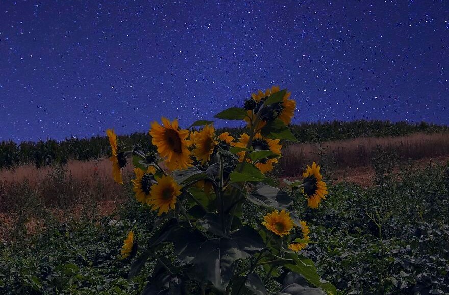 Artystka sfotografowała ukraińską wieś, która jest źródłem jej inspiracji!