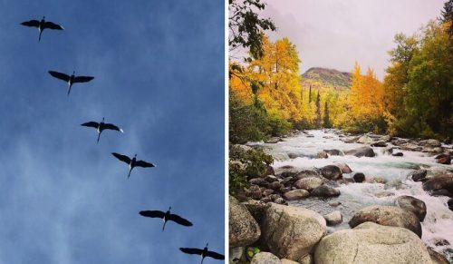 Internauci opublikowali zdjęcia, które przedstawiają idealny jesienny nastrój!