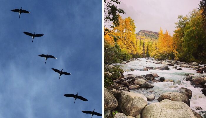 Internauci opublikowali zdjęcia, które przedstawiają idealny jesienny nastrój!
