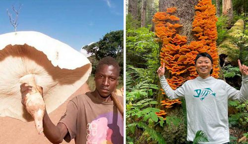 30 zbieraczy grzybów, którzy natknęli się na najdziwniejsze gatunki i udostępnili je online!