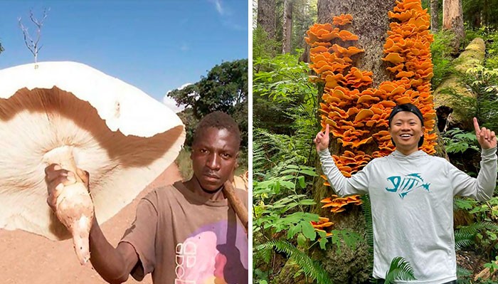30 zbieraczy grzybów, którzy natknęli się na najdziwniejsze gatunki i udostępnili je online!