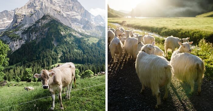 Fotografka ma obsesję na punkcie gór, a oto jej 30 zdjęć, które zrobiła w Alpach Szwajcarskich!