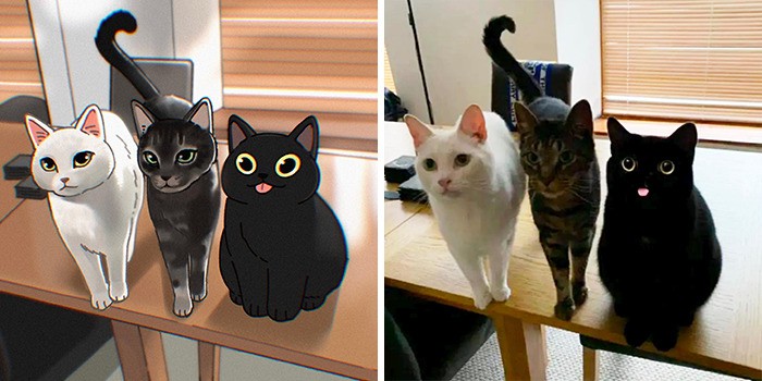 Śmieszne zdjęcia kotów zostały przekształcone w urocze ilustracje przez koreańskiego artystę!