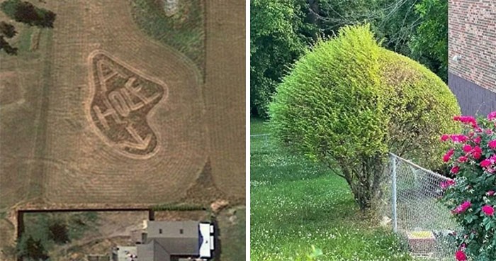 25 ludzi, którzy zrobili wszystko, aby ich ogrody i podwórka były wyjątkowe!