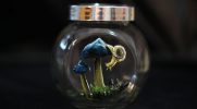 Artystka tworzy magiczne małe słoiki z grzybami, a oto 16 najlepszych!