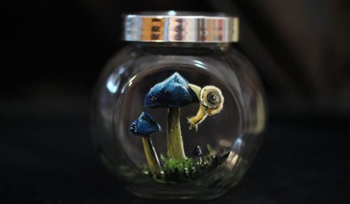 Artystka tworzy magiczne małe słoiki z grzybami, a oto 16 najlepszych!