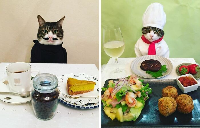 Koci szef kuchni je kolację ze swoją panią każdej nocy w innym stroju!