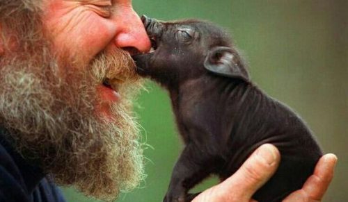 14 ciepłych zdjęć ukazujących miłość do zwierząt!