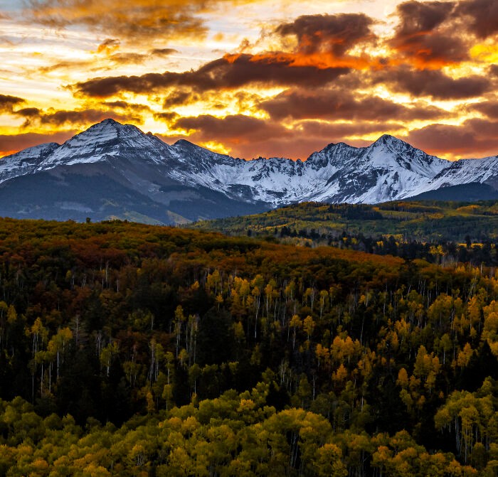 Oto niektóre z najlepszych jesiennych zdjęć, które zrobiła amerykańska fotografka!