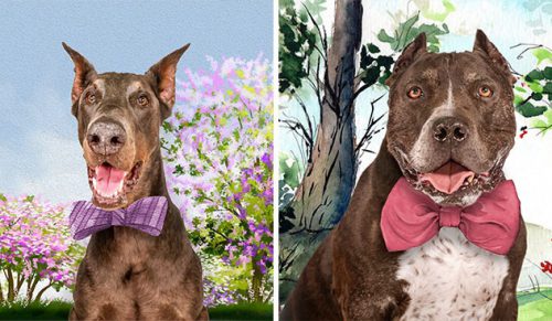 12 portretów psów, które tworzą kalendarz wpierający lokalną akcję ratunkową!
