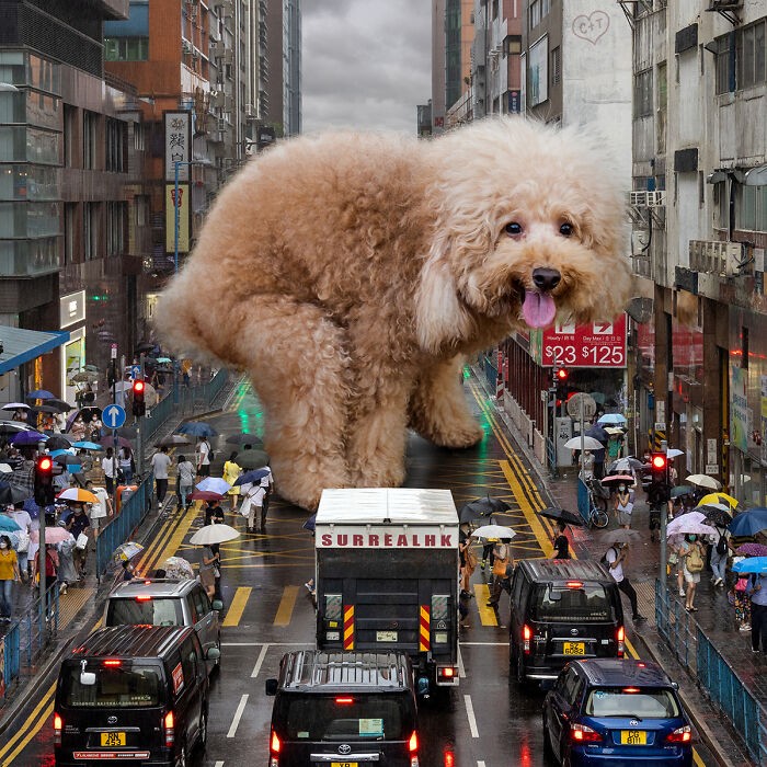 Artysta na nowo wyobraża sobie Hongkong zamieszkany przez gigantyczne zwierzęta!
