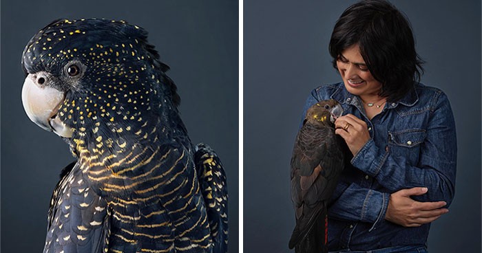 Profesjonalna fotografka uwiecznia doskonale pozujące ptaki w swojej serii zdjęć!