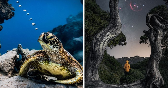 20 zwycięskich fotografii przyrodniczych z konkursu Tokyo International Foto Awards 2023!