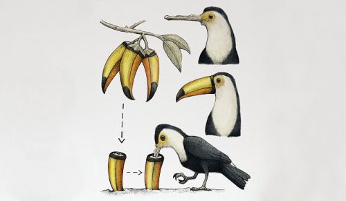 30 zmyślonych naukowych ilustracji dzikiej przyrody!